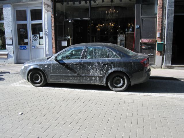 Een AlbAtros, denk ik. Twee kAn ook.