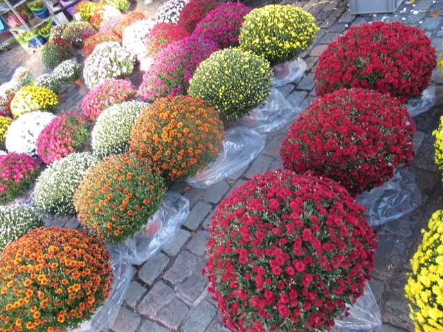 November in zicht