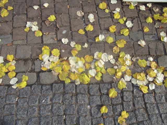 Herfstconfetti.