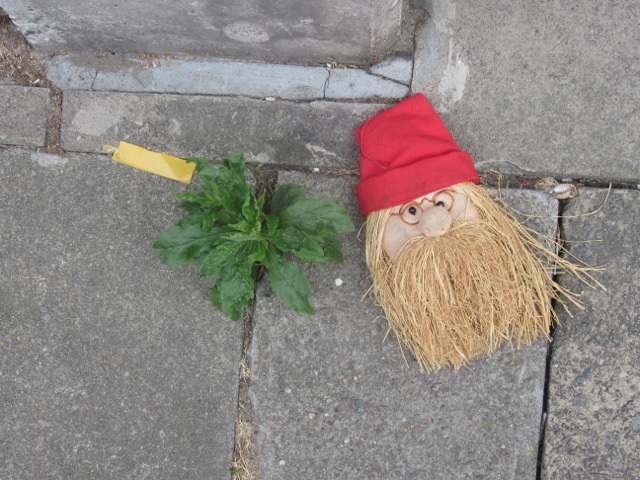 Stilleven met groen en muts