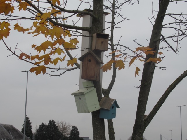 VogelAppArtementen
