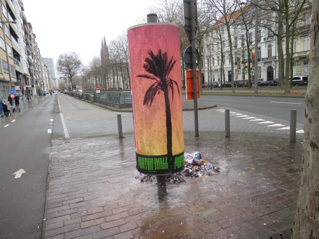 PAlm in die zuil !