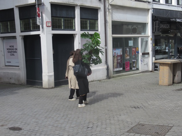 Grootse plAntplAnnen