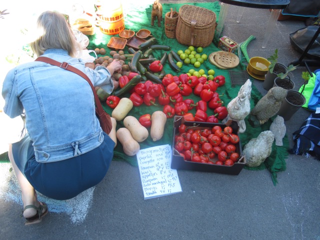 Groenten op volle grond