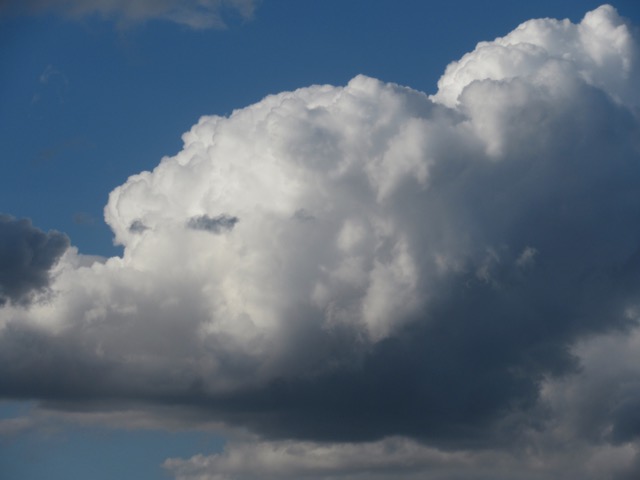 Doezelwolk
