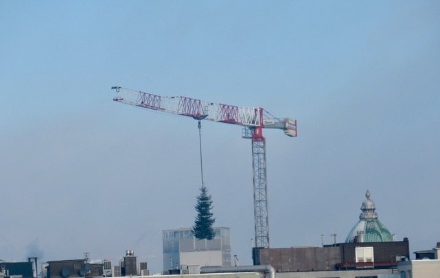 KerstboomophAling groots AAngepAkt