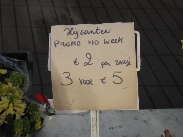 Hybride soort?