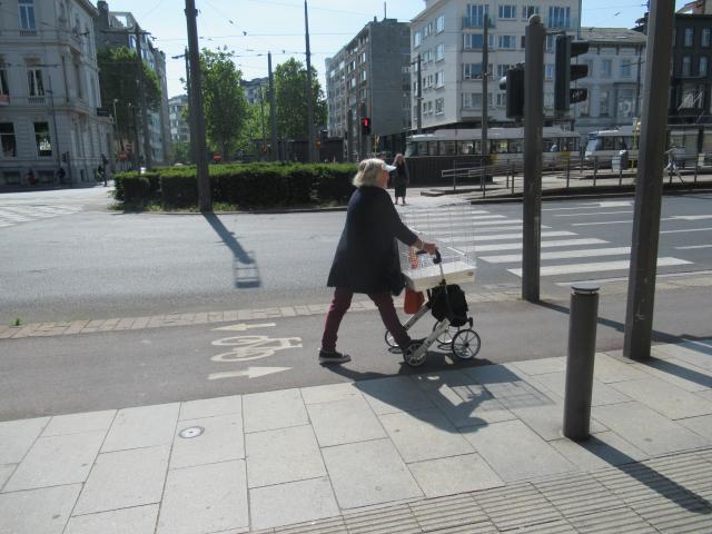 De vogelkooi-rollAtorcombinAtie.