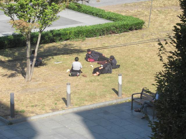 Intussen in het AstridpArk.