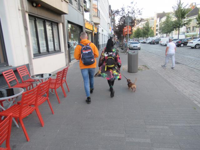 De lAAtste zomerkleuren.