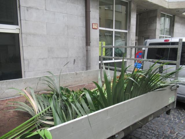 Groen binnen, groen buiten.