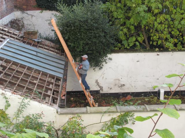 MAAk eens een lAdder, vAnop de lAdder.