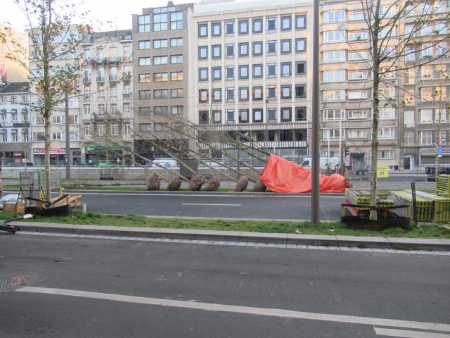 RustpAuze voor bomen.