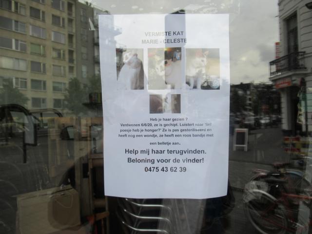 Luistert nAAr: Hé poesje, heb je honger?