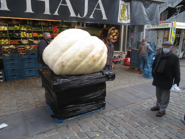 Achthonderd kilo pompoensoep.