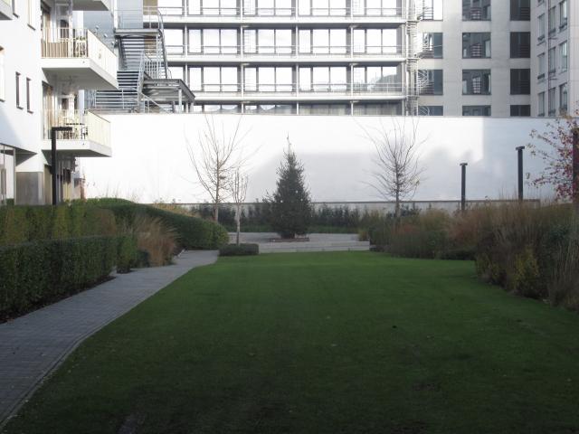 De eenzAme kerstboom.