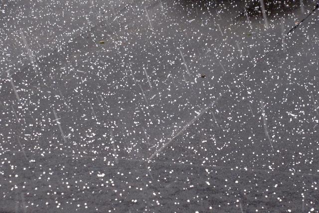 HAgel.