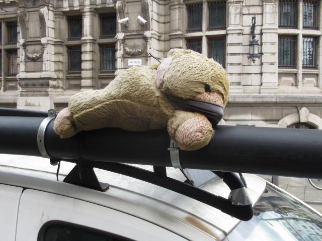 WAAr is GAiA Als je ze nodig hebt...