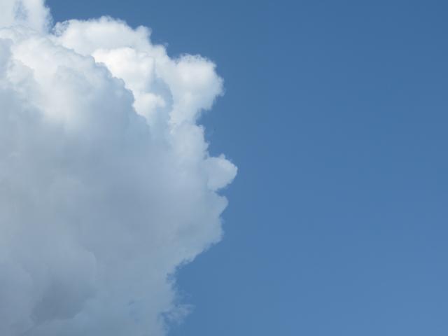 Profielwolk. Niet zeldzAAm.